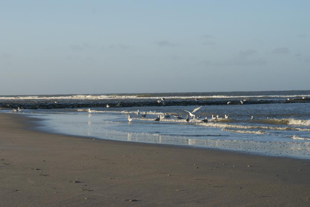 De Herbergh Van Flielant Vlieland Extérieur photo